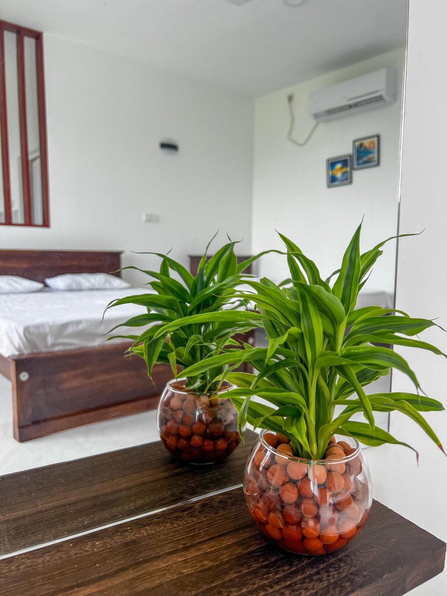 Meridian Holiday Resort Ratnapura Exteriér fotografie